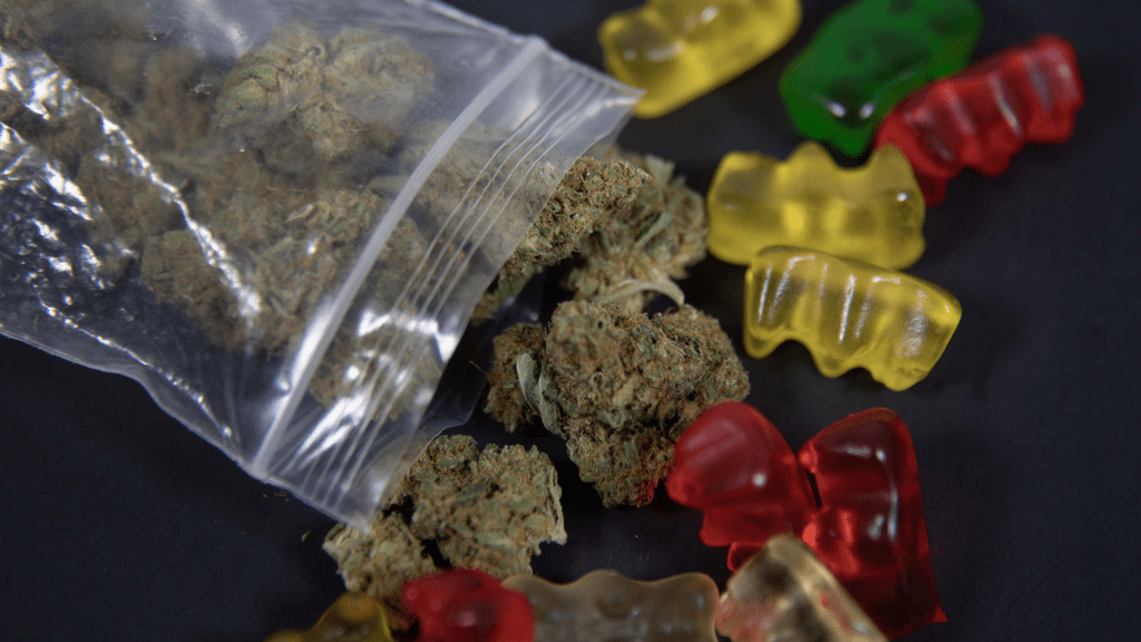 DIY Tie-Dye Weed Underwear: A Fun Weekend Project